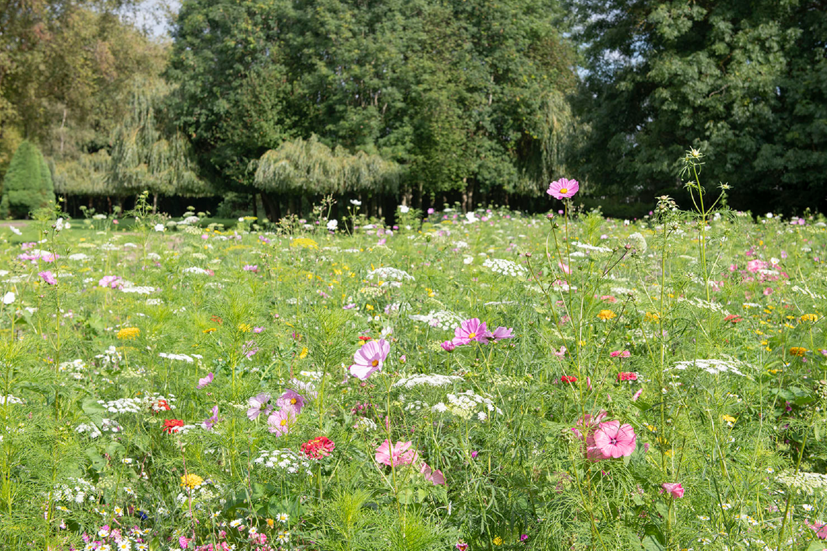 Sustainable events in Newport Pagnell, Milton Keynes.